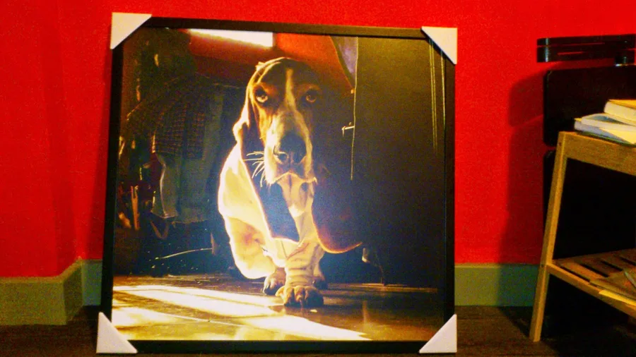 04.jpg