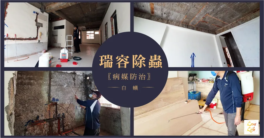 【白蟻防治】中古屋重建除白蟻、防白蟻│病媒、蛀蟲預防│台南除蟲公司推薦│瑞容除蟲