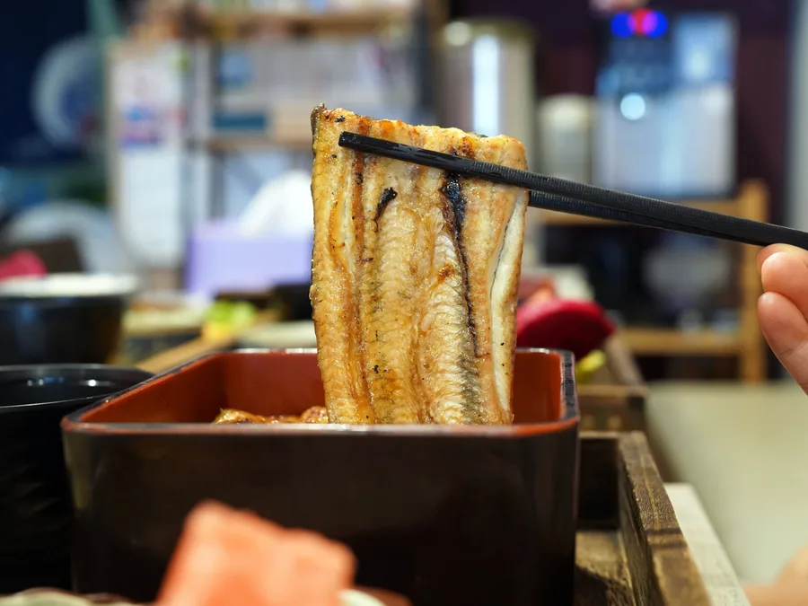 台南鰻魚飯推薦│宝鰻民權店實吃心得│現殺鰻魚真的不一樣│嚴選