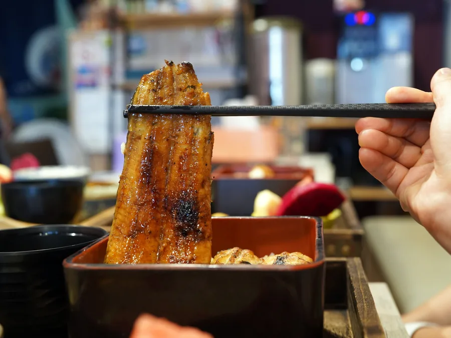 台南鰻魚飯推薦│宝鰻民權店實吃心得│現殺鰻魚真的不一樣│嚴選