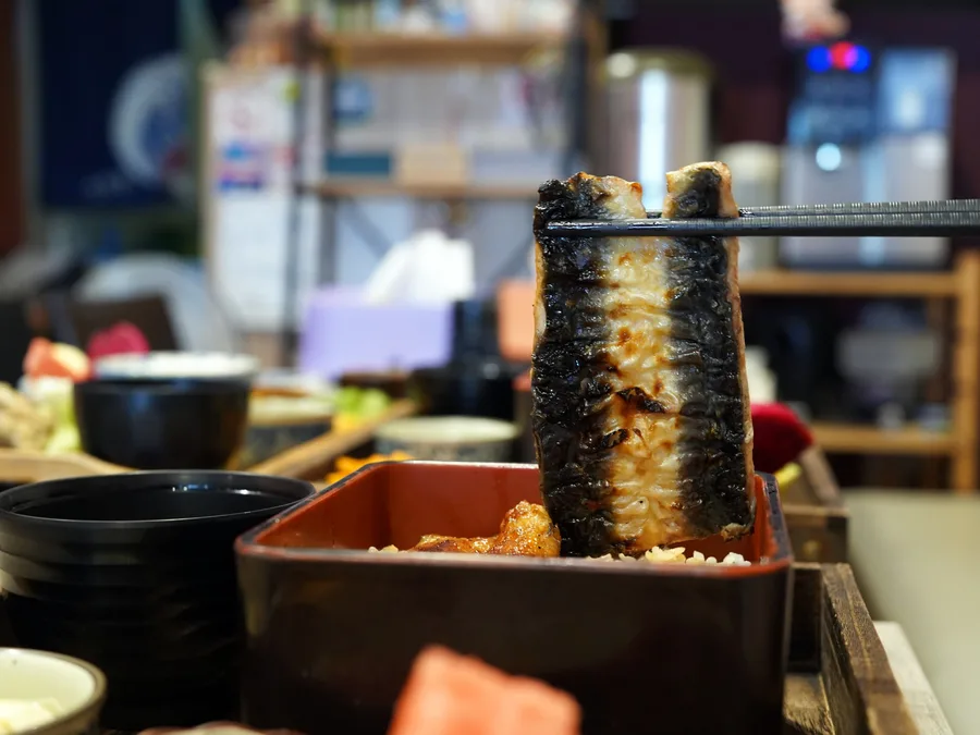 台南鰻魚飯推薦│宝鰻民權店實吃心得│現殺鰻魚真的不一樣│嚴選