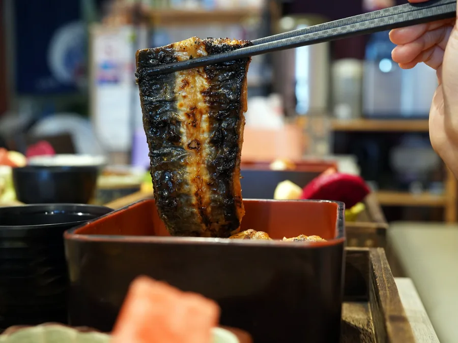 台南鰻魚飯推薦│宝鰻民權店實吃心得│現殺鰻魚真的不一樣│嚴選