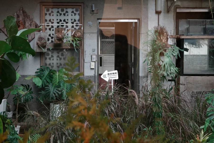 台南咖啡推薦【植也咖啡】成大巷弄裡的咖啡廳秘境│一杯手沖的慢