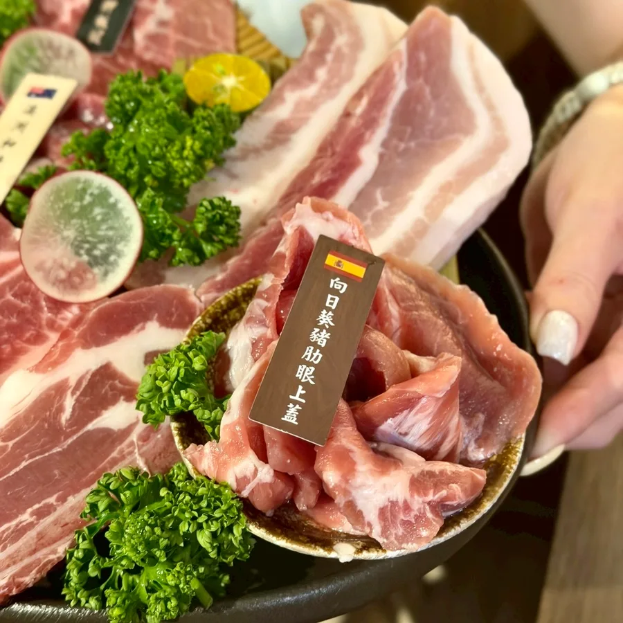 西班牙向日葵豬肋眼上蓋