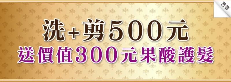 台南造型 E.A造型概念店（憑券: 洗＋剪 500元在送價值300元果酸護髮）